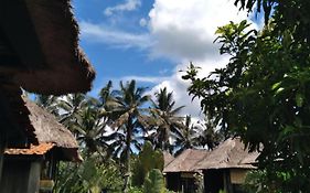 Taman Bintang Villa Ubud